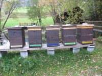 /album/fotogalerie/img-3177-jpg/