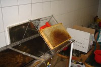 /album/fotogalerie/dsc06017-jpg/