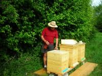 /album/fotogalerie/dscn2322-jpg/