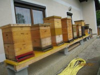 /album/fotogalerie/img-1762-jpg/