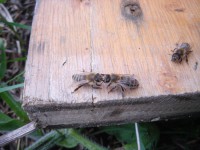 /album/fotogalerie/dsc05925-jpg/