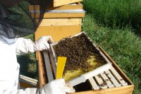 /album/fotogalerie/dsc05980-jpg/