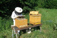 /album/fotogalerie/dsc05981-jpg1/