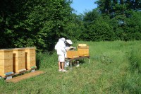 /album/fotogalerie/dsc05983-jpg/