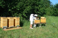 /album/fotogalerie/dsc05984-jpg/