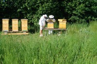 /album/fotogalerie/dsc05986-jpg/