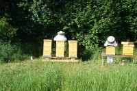 /album/fotogalerie/dsc05987-jpg/