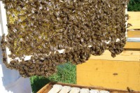 /album/fotogalerie/dsc05989-jpg/