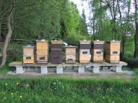 /album/fotogalerie/img-0074-jpg/