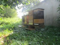 /album/fotogalerie/img-1688-jpg/