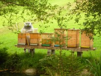 /album/fotogalerie/dscn2864-jpg/