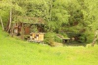 /album/fotogalerie/img-5353-jpg/