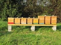 /album/fotogalerie/img-0014-jpg2/