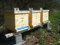 /album/fotogalerie/dsc05741-jpg1/