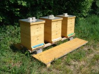 /album/fotogalerie/dsc05919-jpg/