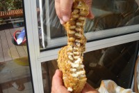 /album/fotogalerie/dsc05946-jpg/