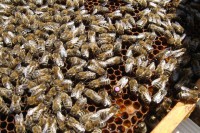 /album/fotogalerie/dsc05942-jpg1/