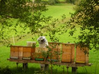 /album/fotogalerie/dscn2862-jpg/