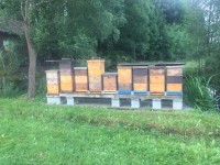 /album/fotogalerie/img-6336-jpg/