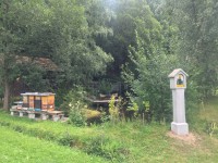 /album/fotogalerie/img-4231-jpg/