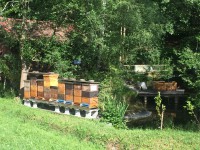 /album/fotogalerie/img-6364-jpg/