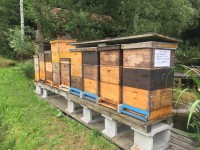 /album/fotogalerie/img-6373-jpg/