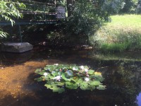 /album/fotogalerie/img-7204-jpg/