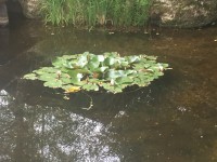 /album/fotogalerie/img-7226-jpg/